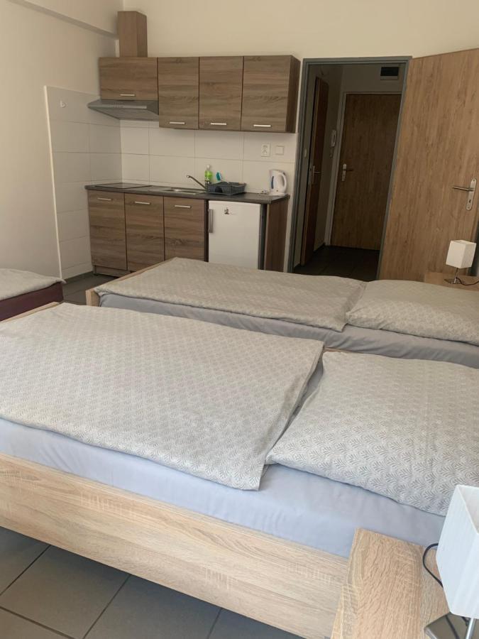 Apartmany Havlickova 马达伯乐斯拉夫 外观 照片
