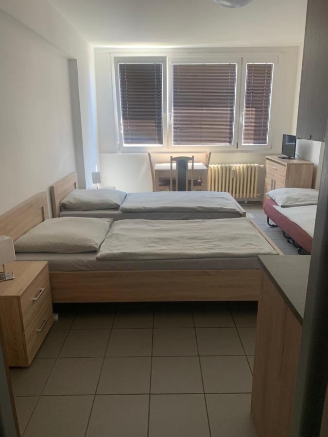 Apartmany Havlickova 马达伯乐斯拉夫 外观 照片