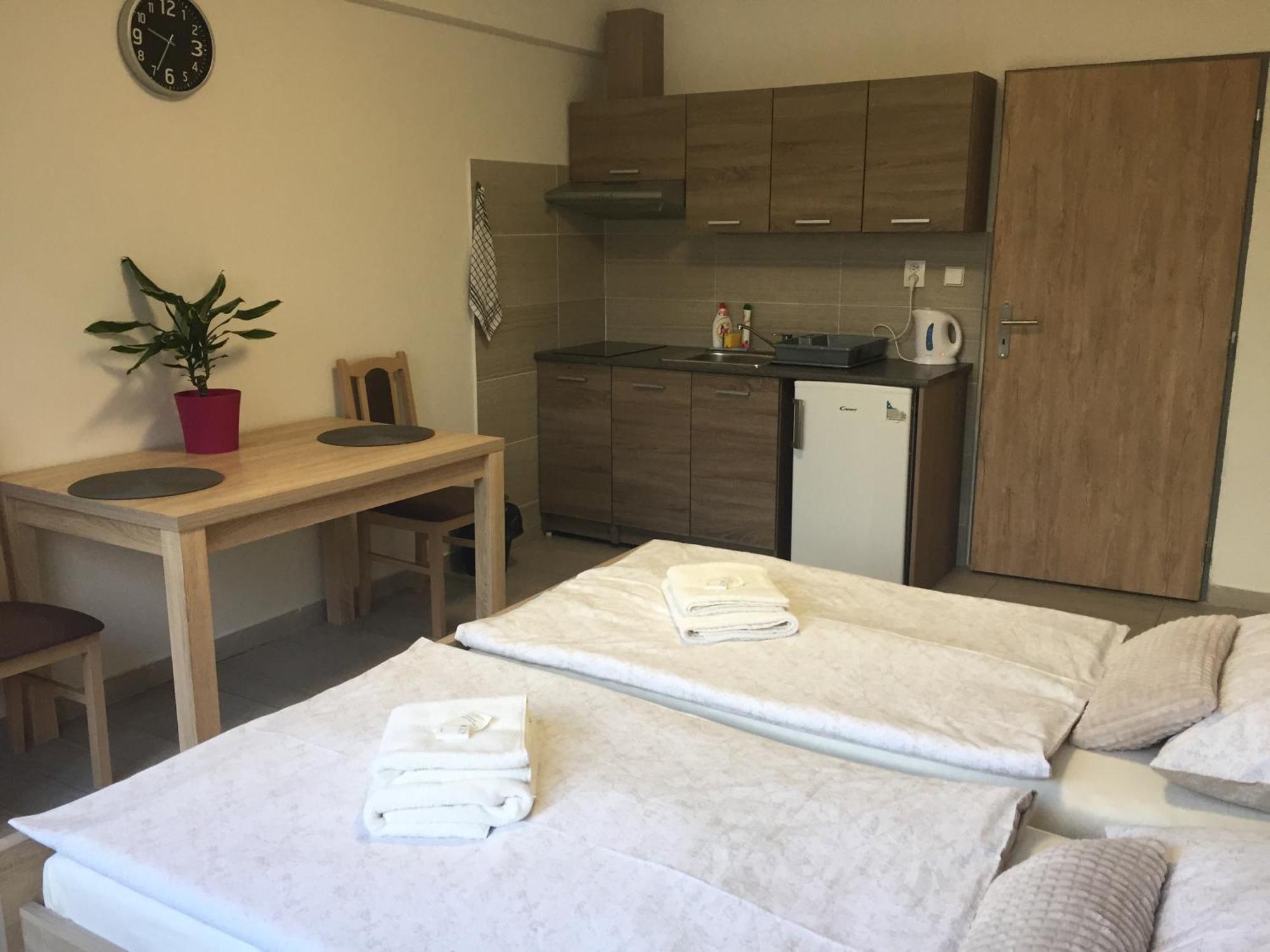 Apartmany Havlickova 马达伯乐斯拉夫 外观 照片